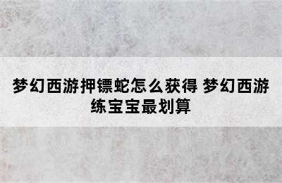 梦幻西游押镖蛇怎么获得 梦幻西游练宝宝最划算